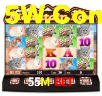 55M Bet,55M Plataforma