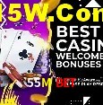 55M Bet Salvador - Promo Stats